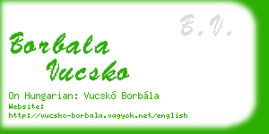 borbala vucsko business card